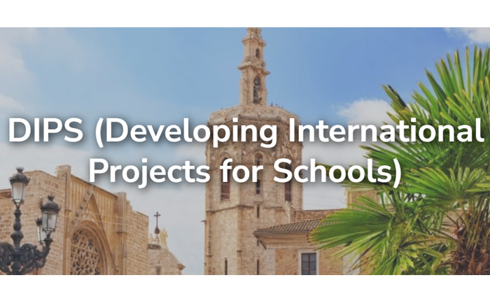 Developing International Projects for Schools (DIPS) 2025, 19-25 October