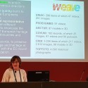 WEAVE collections, aggregated by Photoconsortium in Europeana