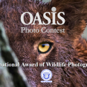 Oasis Photocontest: International Nature Photography Award